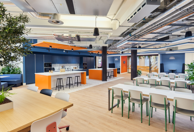 Peldon Rose – Aristocrat